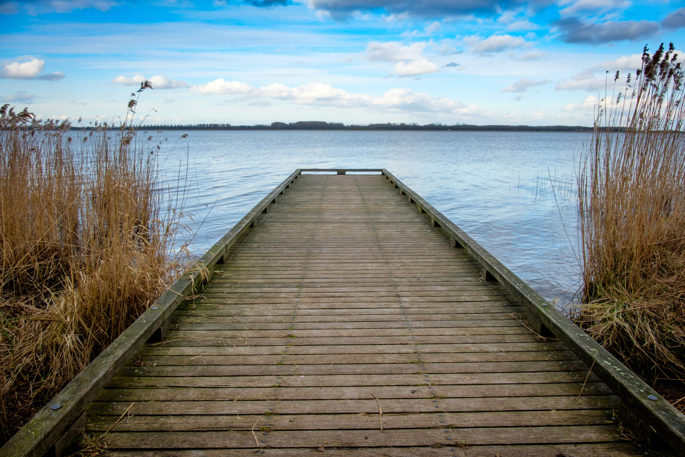 Pier - spring