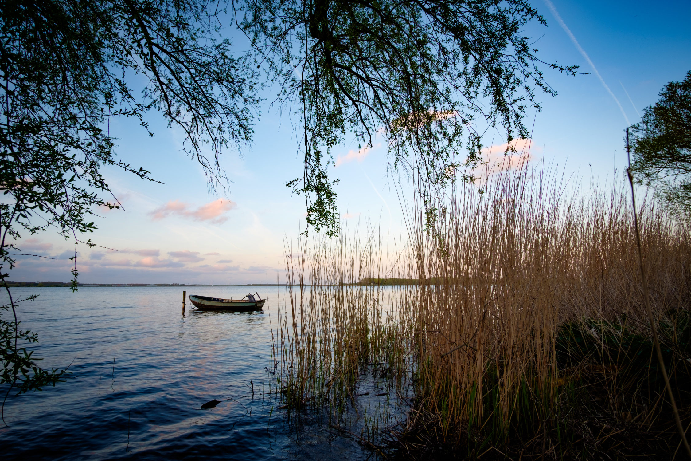 Small boat on the lake