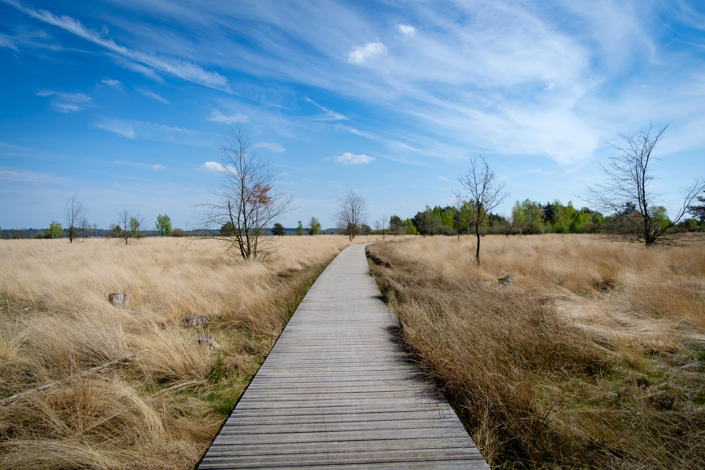 Nationaal park De Hoge Veluwe